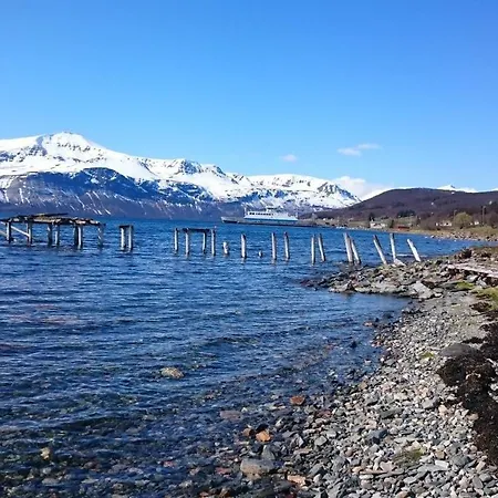 Lyngen Aurora Borealis *