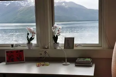 Lyngen Aurora Borealis Feriehus *